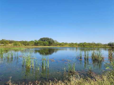 Tbd CR 445, Cross Plains, TX 76443