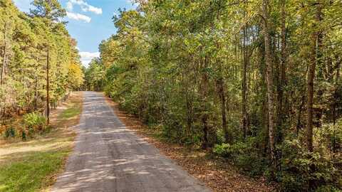 Tbd County Road 4558, Winnsboro, TX 75494