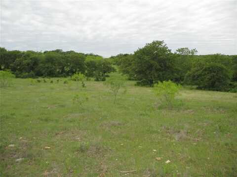 23 Ac Erwin, Jacksboro, TX 76458