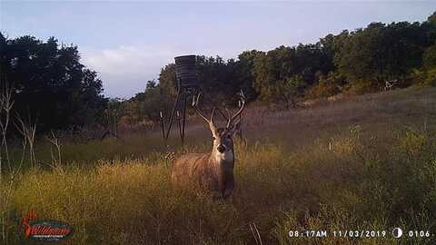 Tbd County Road 188, Cross Plains, TX 76443