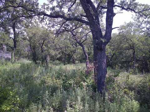 33 Ac N Mason, Perrin, TX 76486