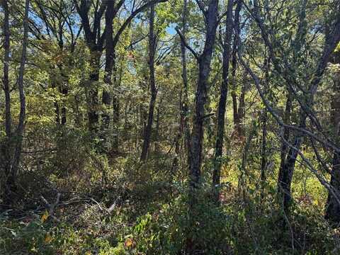 Lot 401 Cordoba Street, Payne Springs, TX 75156