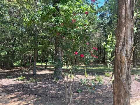 Lot 64 CR 2317, Mineola, TX 75773