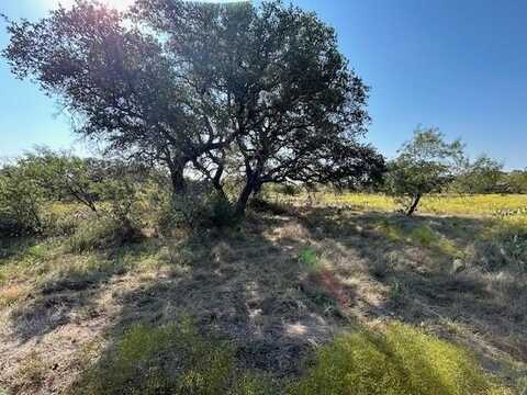 Tbd CR 204, Richland Springs, TX 76871