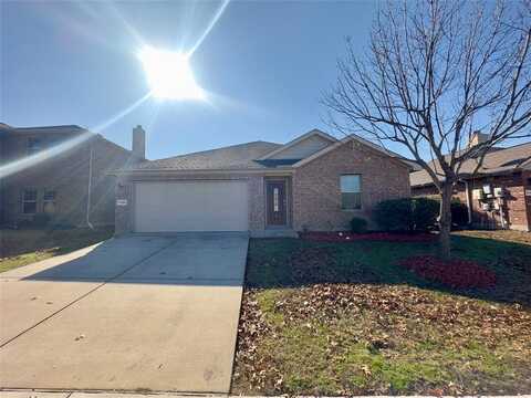 4305 Coney Island Drive, Frisco, TX 75036