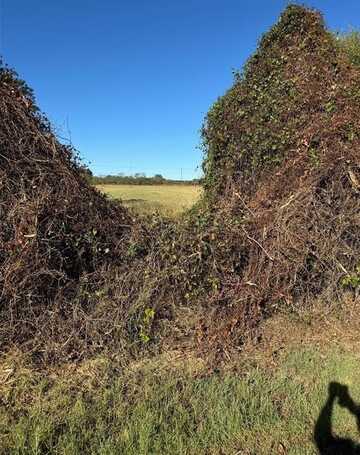 Tbd 5 Acres Hutchinson, Tolar, TX 76476