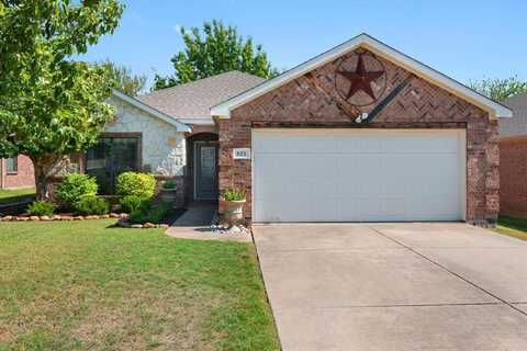 825 Hazels Way, Anna, TX 75409