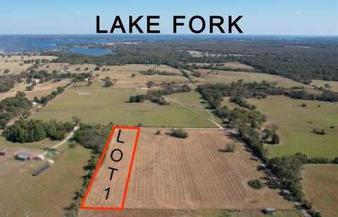 Tbd Lot 1 RS County Road 3150, Emory, TX 75440