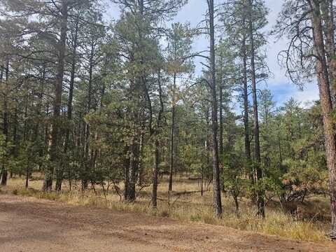 00 Homewood Dr, Timberon, NM 88350