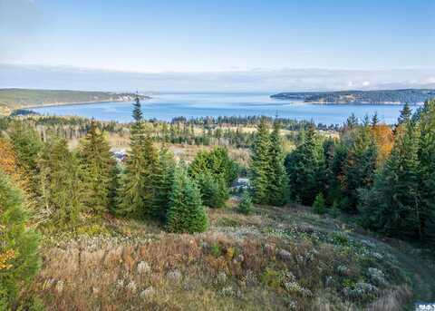 313 View Ridge Drive, Sequim, WA 98382