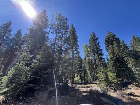 0000 Logging Road, Viola, CA 96088