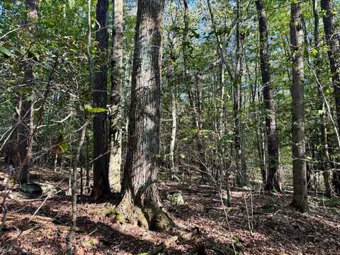 0 Overlook Trail, Newfoundland, PA 18445