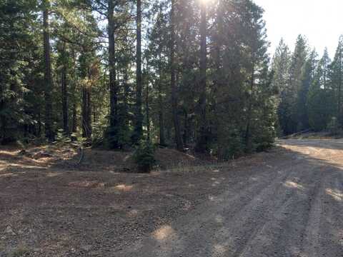 Unit 2 Lot 29 Mt. Bullion Rd, Alturas, CA 96101