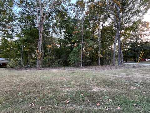 0000 Hickory Lane E, Collinwood, TN 38450