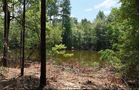 - Old School House Road, Ellisville, MS 39437