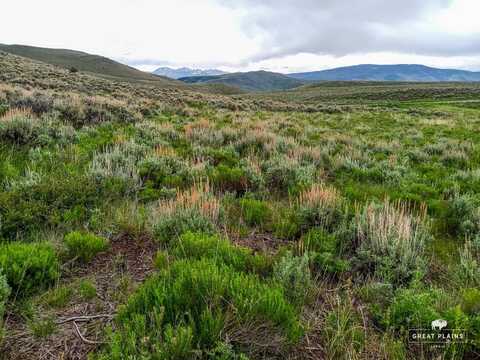 40 Acres Near Vail & Beaver Creek - Excellent Well - 25 GPM, Wolcott, CO 80423