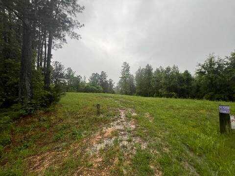 0 Firetower Rd, Camden, TN 38320