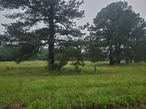 Lot 5 Little Green Acres, Hugo, OK 74743