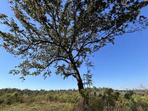 Vista Road and Highway 261, Manning, SC 29102