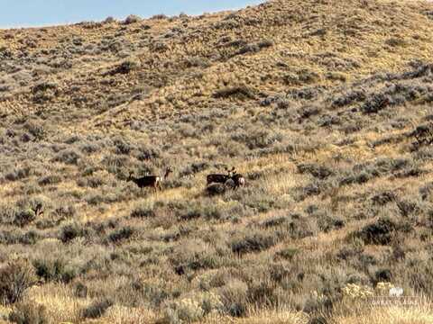 Corner Of Johnson Road & Deer Trail, Craig, CO 81625