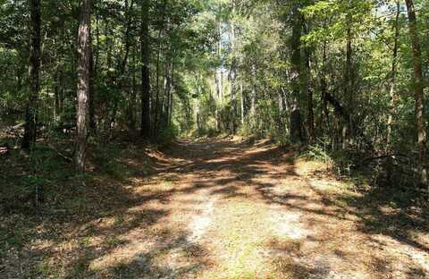 - Mt. Sinai Cemetery Road, Lucedale, MS 39452