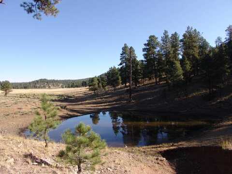 12 Continental Divide Ranch, Datil, NM 87821