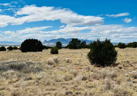 516 Southern Tr, Datil, NM 87821