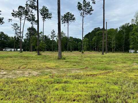 0 Pine Thicket Rd., Many, LA 71449