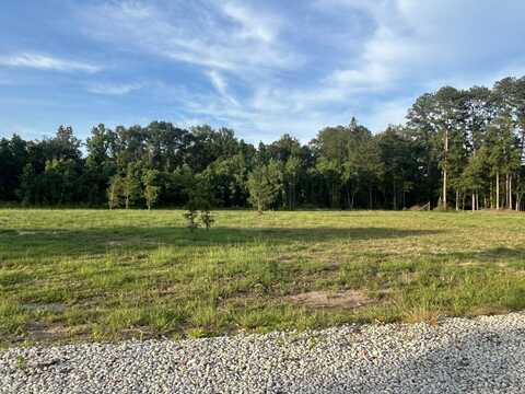 15980 J Baughman Alley Tract C-2-D-1, Walker, LA 70785