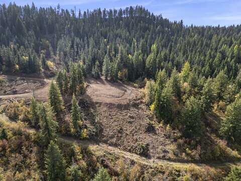 472 Mountain Top Drive, Orofino, ID 83544