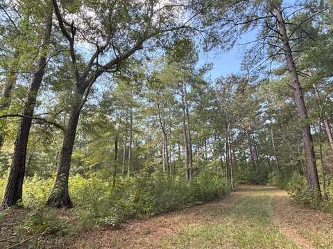 0 Shortcut Road, Cross, SC 29436