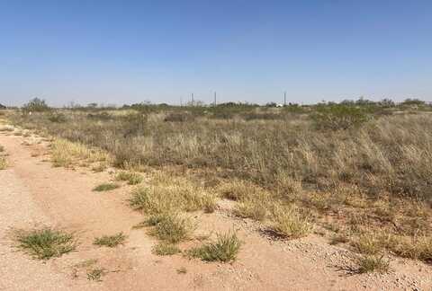 Lot 5 County Rd 1178, Midland, TX 79709