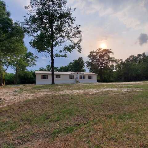 1468 county road 321, Elba, AL 36323