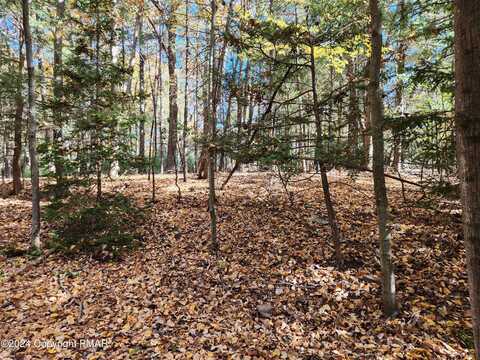 Lot 25 Mongul Circle, Henryville, PA 18332