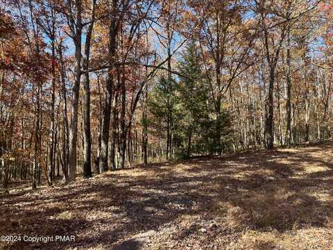 LOT A48 Leisure Lane, Jim Thorpe, PA 18229