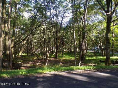 Lot 709a Wintergreen Trail, Albrightsville, PA 18210