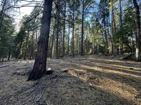 673 E Mountain Ridge Road, Lake Almanor, CA 96137