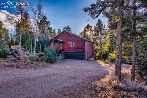 831 Trout Haven Road, Florissant, CO 80816