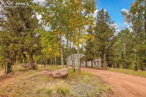 541 Brown Bear Drive, Cripple Creek, CO 80813