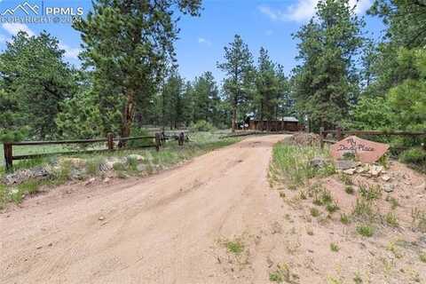 117 Pine Forest Road, Lake George, CO 80827