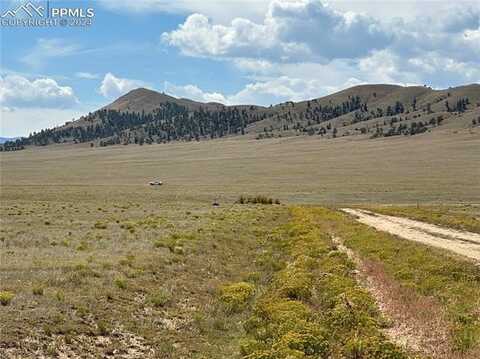 286 Chase Gulch Road, Hartsel, CO 80449