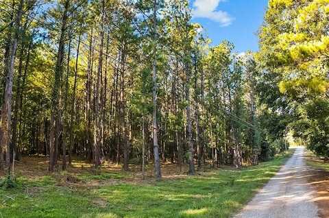 0 Cybur Hills Road, Carriere, MS 39426