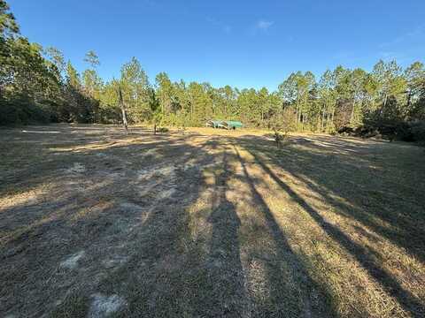 2605 Longleaf Dr, Perkinston, MS 39573