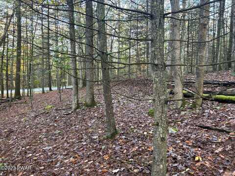 Lot 3 Cedar Ridge Road, Hawley, PA 18428