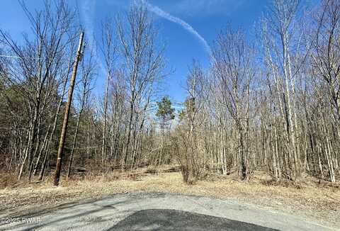 Lot 24 Laurel Drive, Honesdale, PA 18431