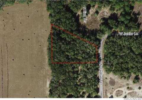 11916 N Captiva Terrace, Dunnellon, FL 34433