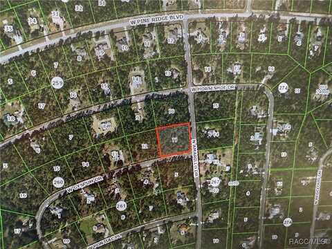 4617 W Gypsum Drive, Beverly Hills, FL 34465