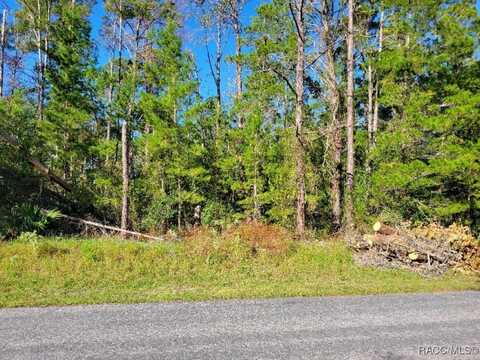 12 Lindwood Court, Homosassa, FL 34446