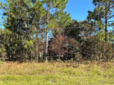 2453 W Newhope Lane, Dunnellon, FL 34434