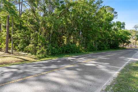 8274 W Homosassa Trail, Homosassa, FL 34448